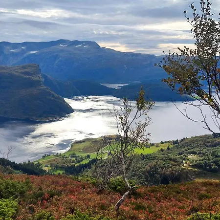 Lovely In With Wifi